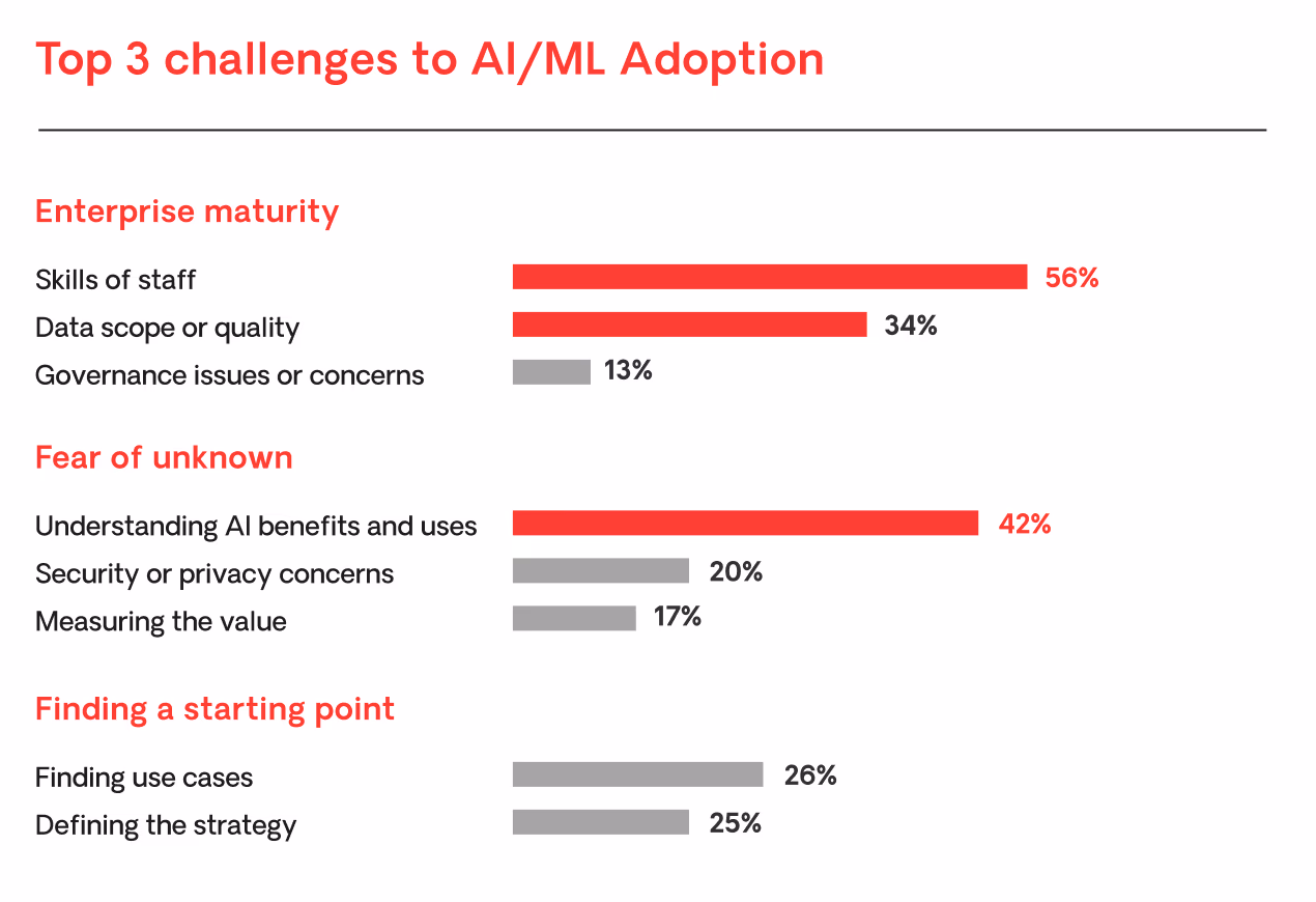 challenges to ai and ml adoption